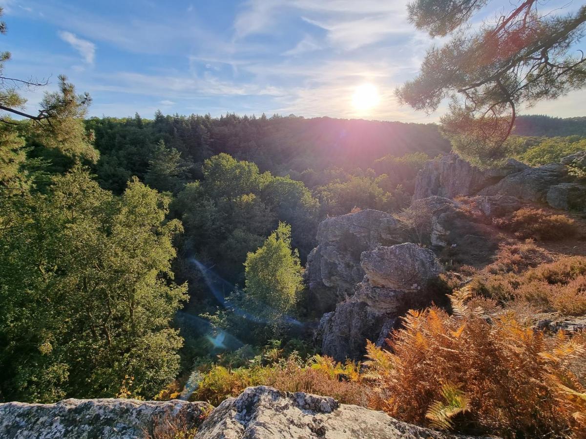 La Tiny Proche Lac Et Foret Sillé-le-Guillaume Esterno foto